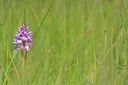 BUITEN BEELD Foto: 240005