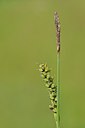 BUITEN BEELD Foto: 240007