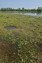 BUITEN BEELD Foto: 240016