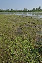 BUITEN BEELD Foto: 240017