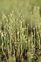 BUITEN BEELD Foto: 240048