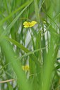 BUITEN BEELD Foto: 240324