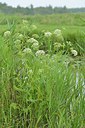 BUITEN BEELD Foto: 240326