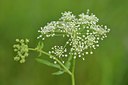 BUITEN BEELD Foto: 240329