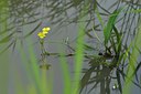 BUITEN BEELD Foto: 240330