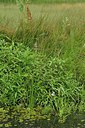 BUITEN BEELD Foto: 240358