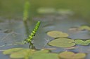 BUITEN BEELD Foto: 240362