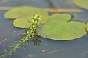 BUITEN BEELD Foto: 240363