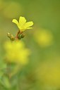 BUITEN BEELD Foto: 240402