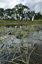 BUITEN BEELD Foto: 240430