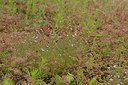 BUITEN BEELD Foto: 240456