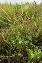 BUITEN BEELD Foto: 240480