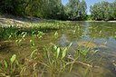 BUITEN BEELD Foto: 240527