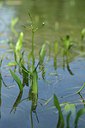 BUITEN BEELD Foto: 240540