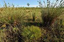 BUITEN BEELD Foto: 240553