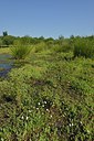 BUITEN BEELD Foto: 240565