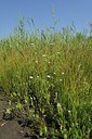 BUITEN BEELD Foto: 240566