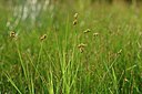 BUITEN BEELD Foto: 240606