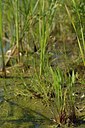 BUITEN BEELD Foto: 240616