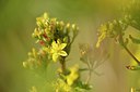 BUITEN BEELD Foto: 240617