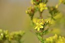BUITEN BEELD Foto: 240619
