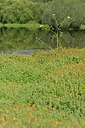 BUITEN BEELD Foto: 240629