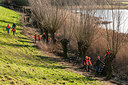 BUITEN BEELD Foto: 240788