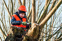BUITEN BEELD Foto: 240789