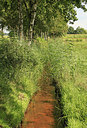 BUITEN BEELD Foto: 240823