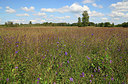 BUITEN BEELD Foto: 240835