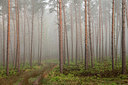 BUITEN BEELD Foto: 240865