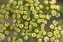 BUITEN BEELD Foto: 240876