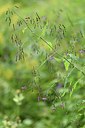 BUITEN BEELD Foto: 240915