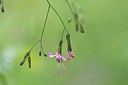 BUITEN BEELD Foto: 240917