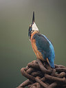 BUITEN BEELD Foto: 240934