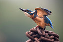 BUITEN BEELD Foto: 240935