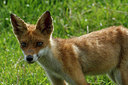 BUITEN BEELD Foto: 240978