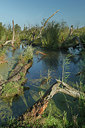BUITEN BEELD Foto: 240985