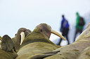 BUITEN BEELD Foto: 241018