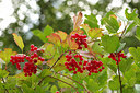 BUITEN BEELD Foto: 241071