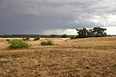BUITEN BEELD Foto: 241102