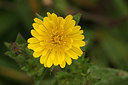 BUITEN BEELD Foto: 241224
