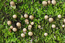 BUITEN BEELD Foto: 241227