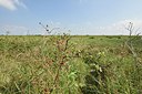 BUITEN BEELD Foto: 241278