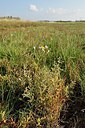BUITEN BEELD Foto: 241288