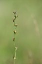 BUITEN BEELD Foto: 241304
