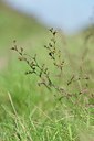BUITEN BEELD Foto: 241308