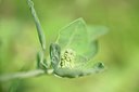 BUITEN BEELD Foto: 241324