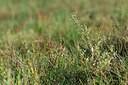 BUITEN BEELD Foto: 241333