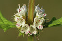 BUITEN BEELD Foto: 241371